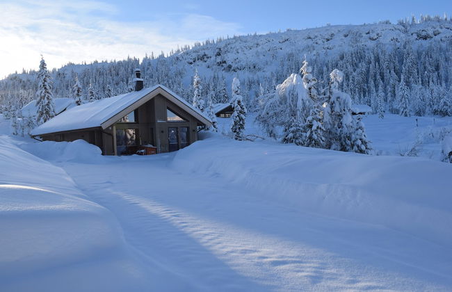 Skeikampen Booking - Foto 16