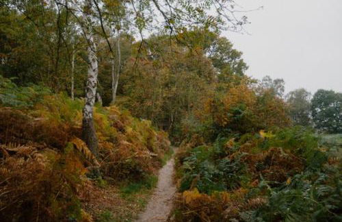 The Carriage House by Birch Stays - Photo 69