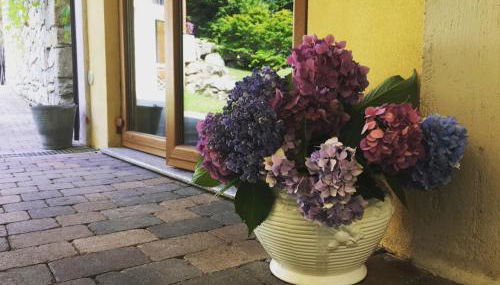 Agriturismo Biomatto - Foto 4, Garden, Garden view