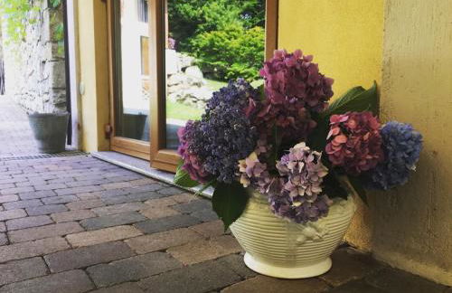 Agriturismo Biomatto - Foto 4