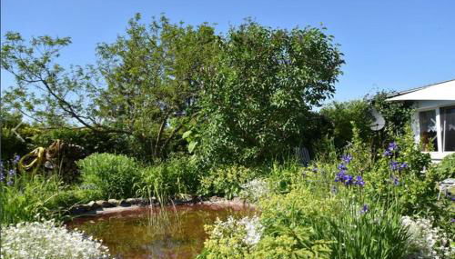 Ferienhaus "OstseeDuft auf dem Lande" OFC 03 - Foto 2