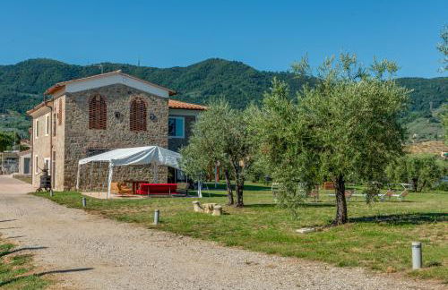 Fattoria Mantellassi - Foto 41