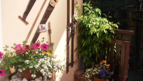 Ferienwohnungen "Gründelrast" - Foto 5, Garden view