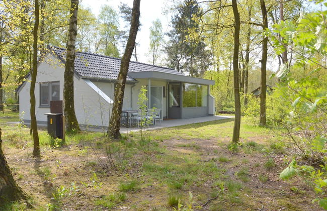 Inviting Holiday Home in Stramproy With Terrace - Photo 27