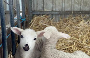 Casinha à Porta - Foto 56