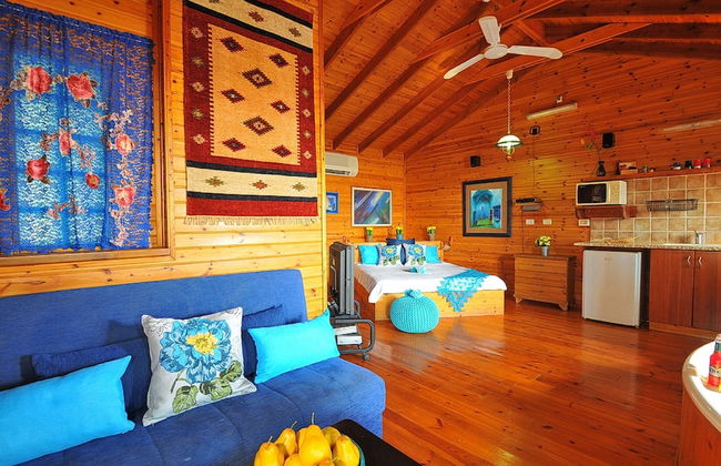 The Golan Cabin - Foto 23