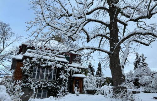 Ferienwohnung Unterm Tulpenbaum - Foto 26