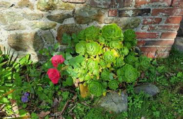 Clos St Vaast près plage et port - Foto 30