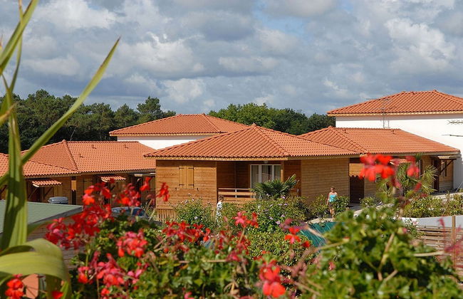 Olydea Cassen - Foto 3