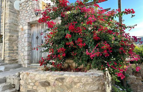 Villa Elika - venezianische Villa - komplettes EG - Meerblick - Foto 13