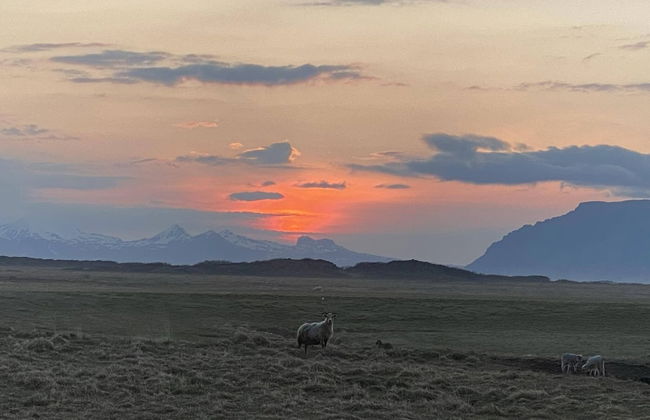 Álftártunga farm guesthouse - Foto 59