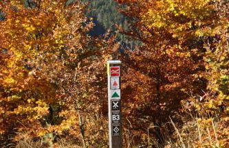 Ferienwohnung Panorama II - Foto 31