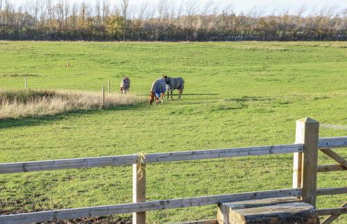 The Robins Nest - Foto 65