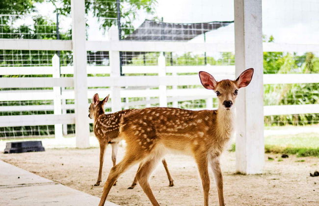 Eco Park Punta Cana Trip - Photo 2