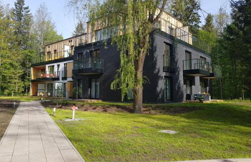 Serce Nieznanego Boru - Foto 8