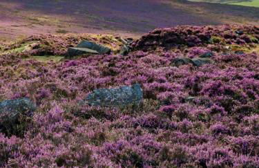 Stones Cottage Farm, nr Haworth, family friendly, work friendly, gaming barn, hot tub, free wifi, free parking, EV point - Foto 29