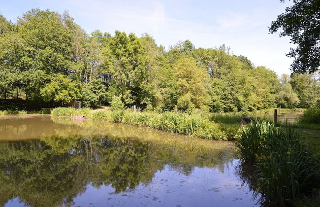 Nature Retreat by the Lakes - Foto 44