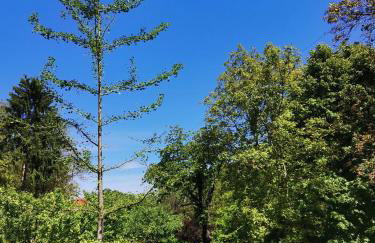 Forest paradise - Photo 7