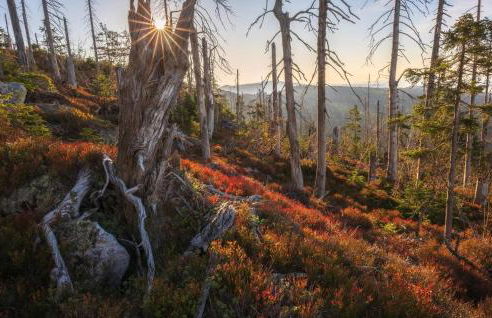 F&F Apartment - Foto 56