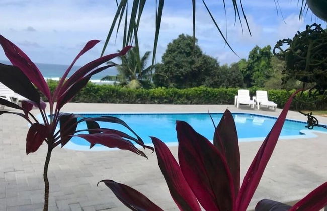 Blue Horizon Villas - Photo 10