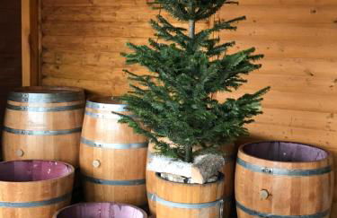 Wellness Hütte am Zwenkauer See bei Leipzig - Foto 17