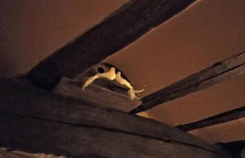 La Casa del Ayer - Foto 50