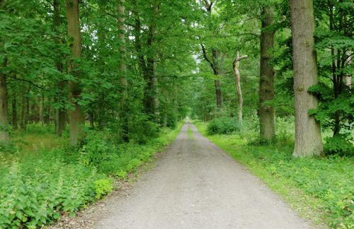 Flat in Furstenwald Near Berlin Forest - Photo 35