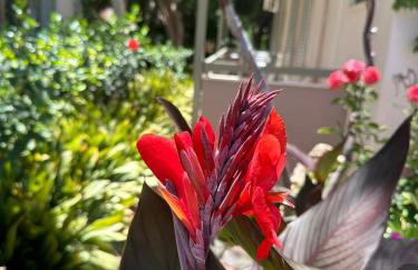 StelSif Studio's - Foto 28