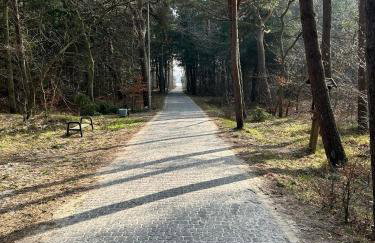 Domki U Sieronia - Foto 23