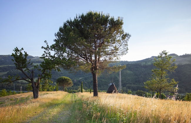 Locanda dei Cinque Cerri - Foto 14