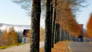 Appartement-Hotel Sibyllenbad - Foto 5