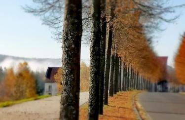 Appartement-Hotel Sibyllenbad - Foto 5