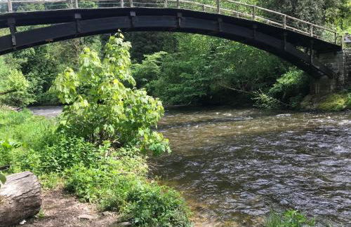 Saunaparadies Black Forest - Foto 6