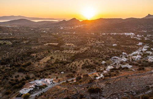 Alkema Horizon - Foto 74