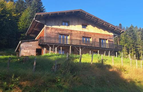 Chalet Le Belvédère, vue exceptionnelle dans les Hautes Vosges - Foto 32