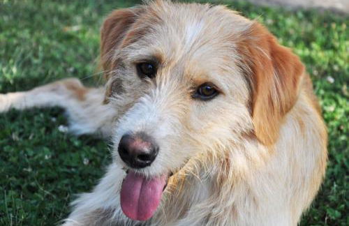 Agriturismo Campo del Pillo - Foto 44