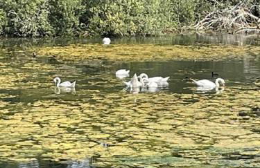 La Ferme de la Croix - Foto 43