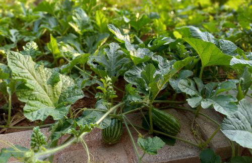 Elysion point Apartment - Foto 41