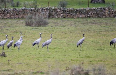 Apartamentos La Presa - Foto 35