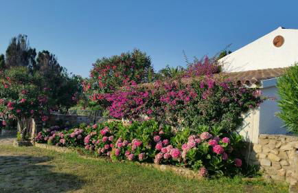 Villa La Liccia Misia - Foto 41