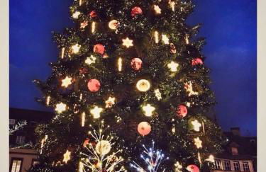 Les Corbelles, duplex hyper centre - Foto 51