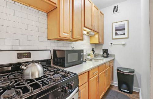 Trendy Studio Apartment in Chicago - Kenwood 103 & 303 rep - Foto 8