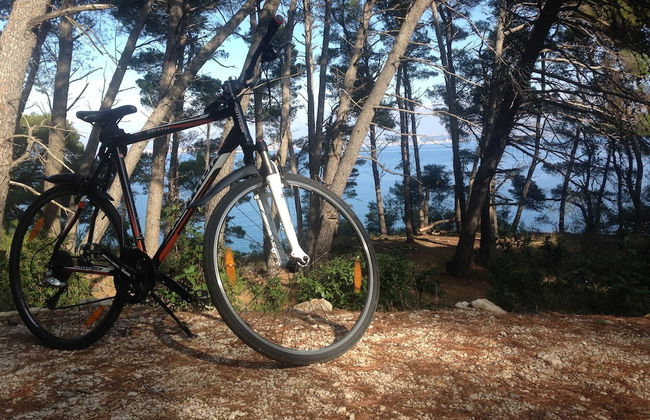 Holiday Villa Blue Tree - Foto 49