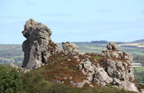 Willow Lodge, Wolfscastle - Foto 41