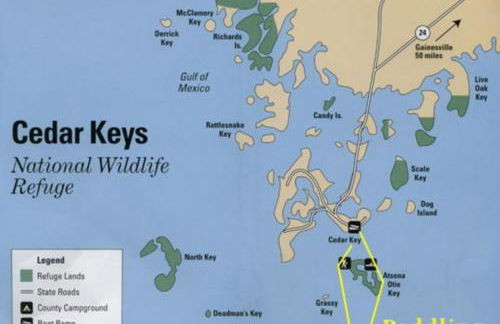 The Cormorant Condo C203 at Natures Landing - Foto 8