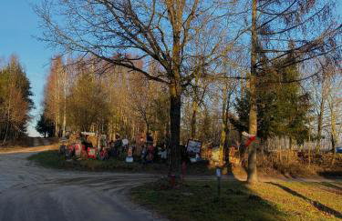 Agroturystyka Raj "Pod rzeźbami" - Photo 46