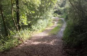 Terrazza sul Chianti - Photo 3