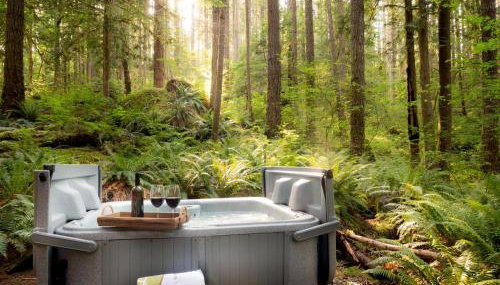 Treetop Hideaway, Sleeps 2 - Foto 3