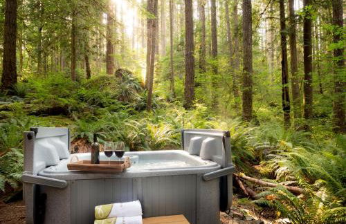 Treetop Hideaway, Sleeps 2 - Foto 3