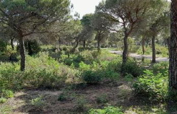 Vistaluz playa - Foto 28